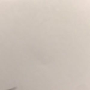 Meet your Posher, Oscar